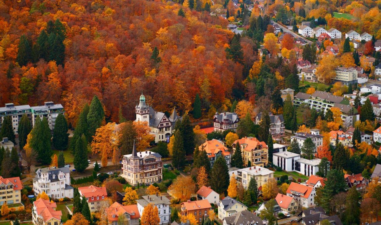 Fewo Harzgipfel Mit Dampfdusche #Innestadtnaehe#Netflix Von Harztraveler Bad Harzburg Eksteriør billede