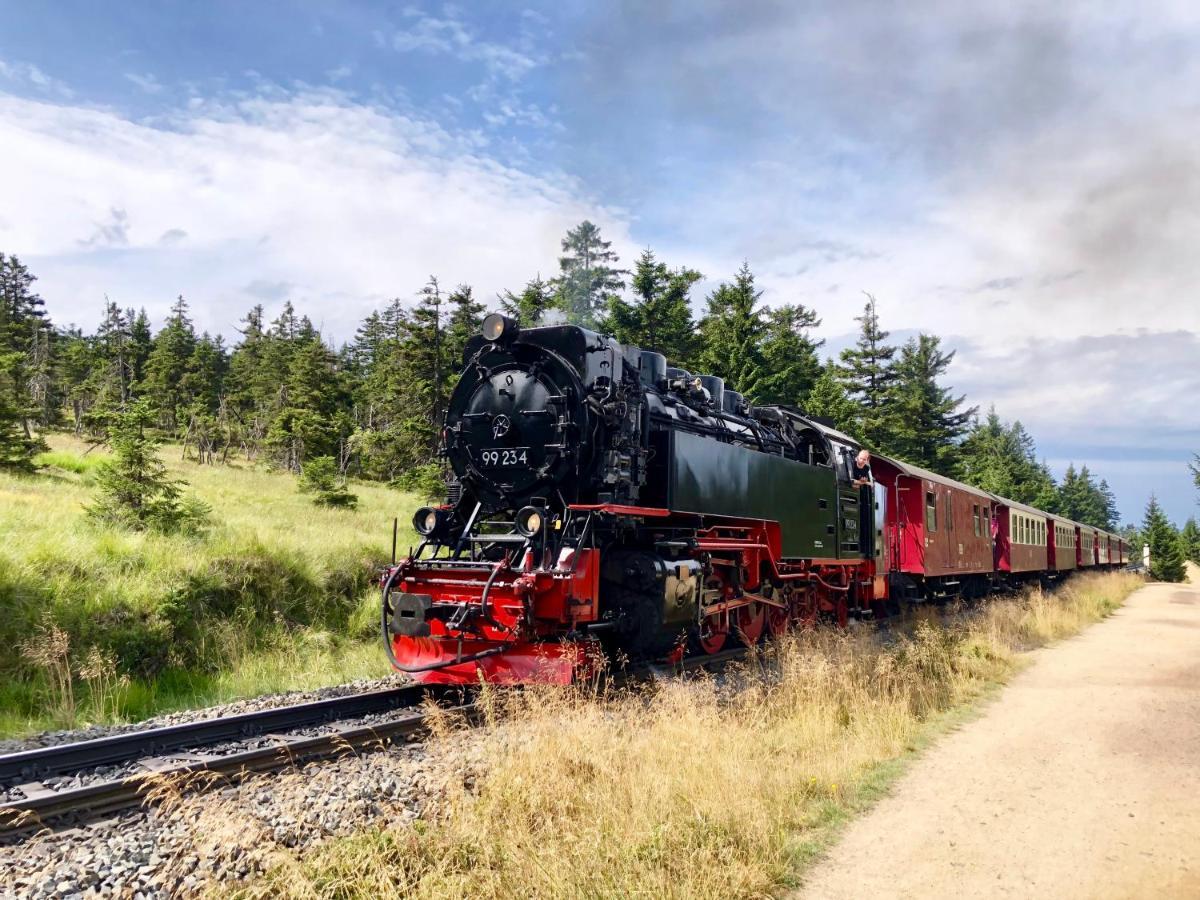 Fewo Harzgipfel Mit Dampfdusche #Innestadtnaehe#Netflix Von Harztraveler Bad Harzburg Eksteriør billede