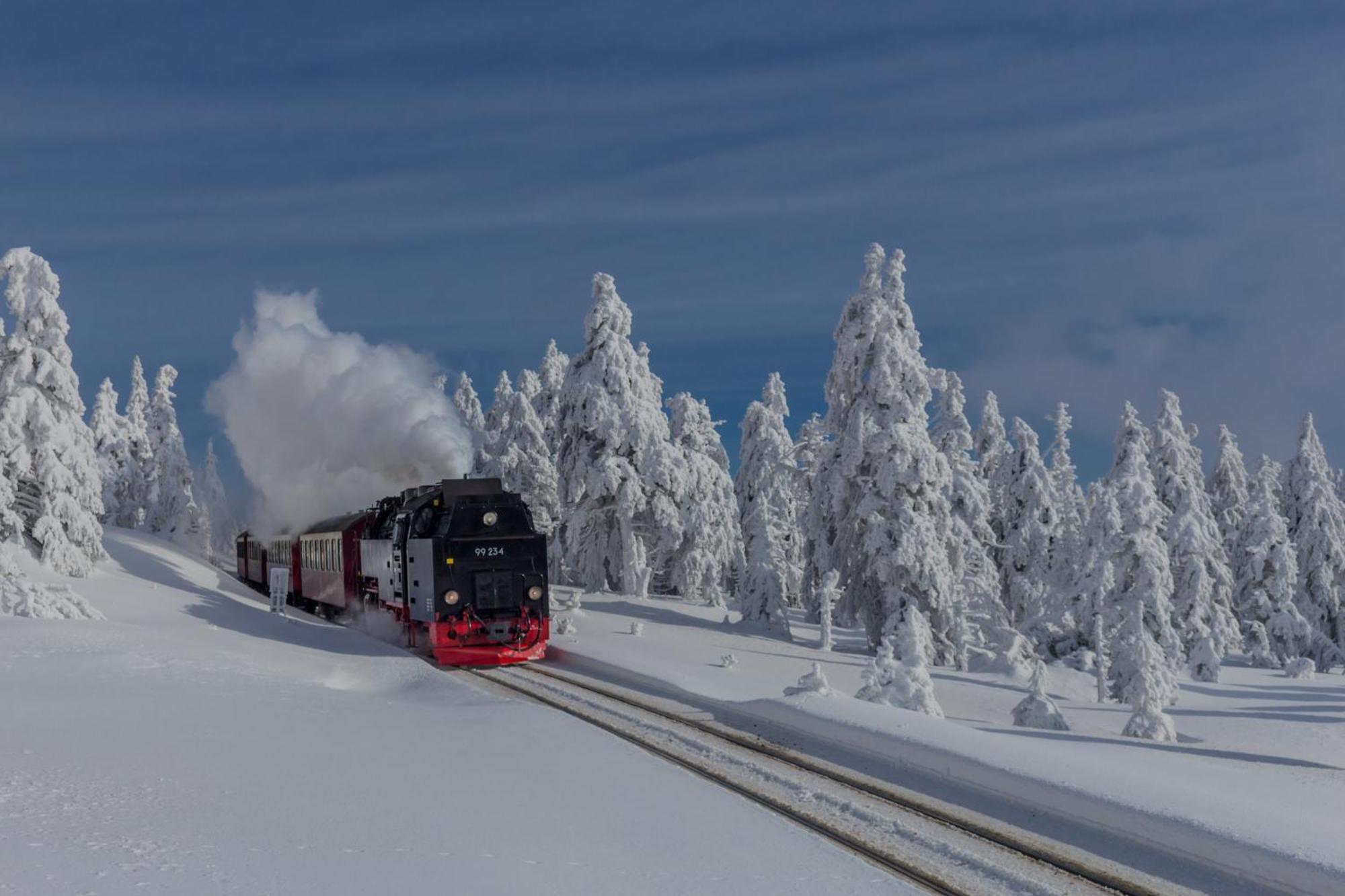 Fewo Harzgipfel Mit Dampfdusche #Innestadtnaehe#Netflix Von Harztraveler Bad Harzburg Eksteriør billede